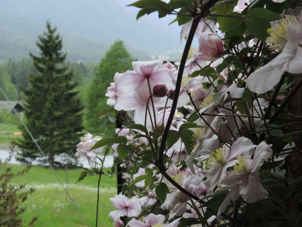 B&B Pranzaira Vicosoprano Exteriér fotografie